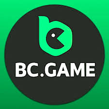 Exploring Innovation and Community The Essence of BC CO