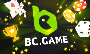 Exploring Innovation and Community The Essence of BC CO